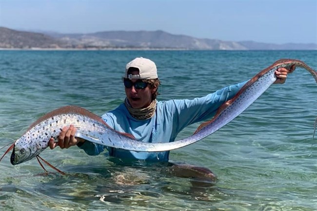 Giant oarfish spotted around Cabo