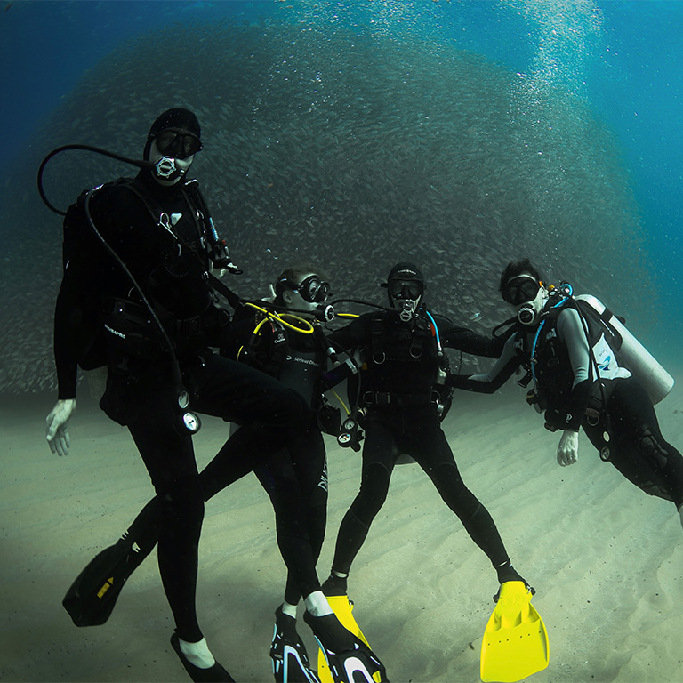 Scuba Diving