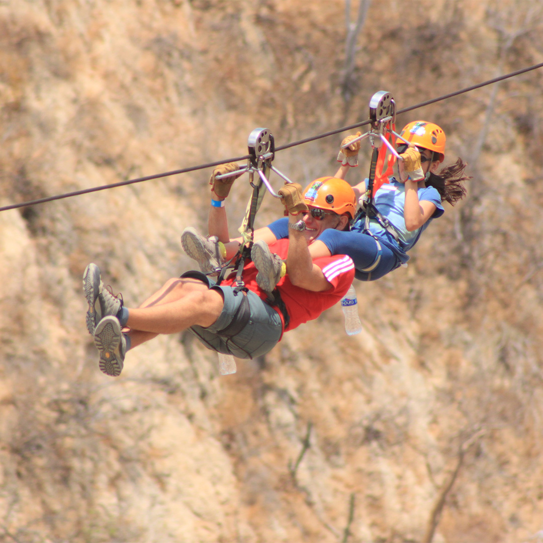 Zip Lines